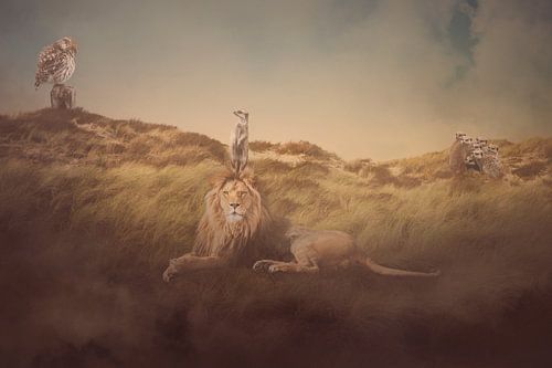 "Big brother is watching you"