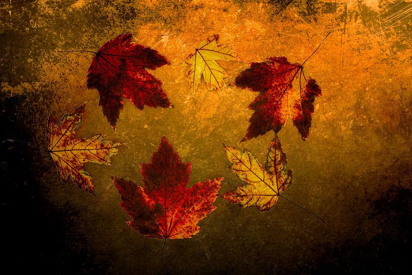 Gevallen bladeren van Elly van Veen