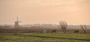 Holländische Landschaft 