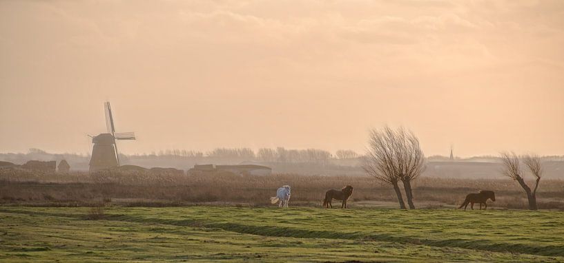 Hollands landschap van Marcel van Balken