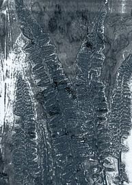 Abstract Botanical. Ferns in indigo. by Dina Dankers