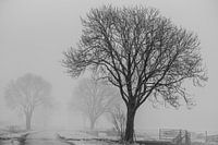 Winterlandschaft in den Niederlanden