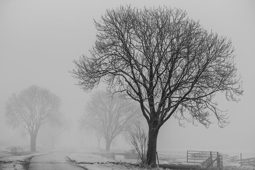 Winterlandschaft in den Niederlanden von Mario Creanza