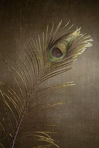 Pfauenfeder Bohemian Silber Bronze Impressionismus