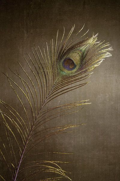 Pauwenveer Bohemian Zilver Brons. Impressionisme. Japan. van Alie Ekkelenkamp