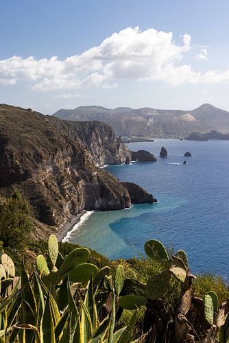 Blick auf die Inseln Lipari und Vulcano, umgeben von Kakteen.