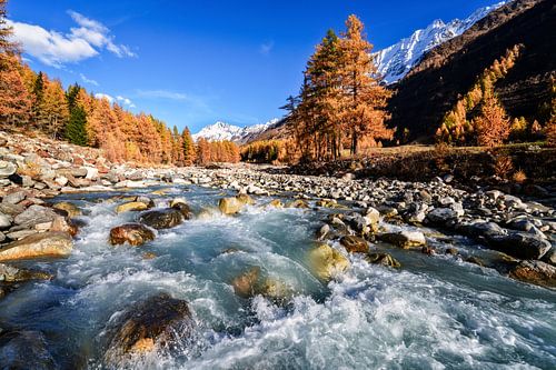 Gouden herfstkleuren in het Lötschental - Wallis - Zwitserland