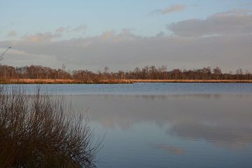 Nationalpark De Grote Peel von Hans Janssen