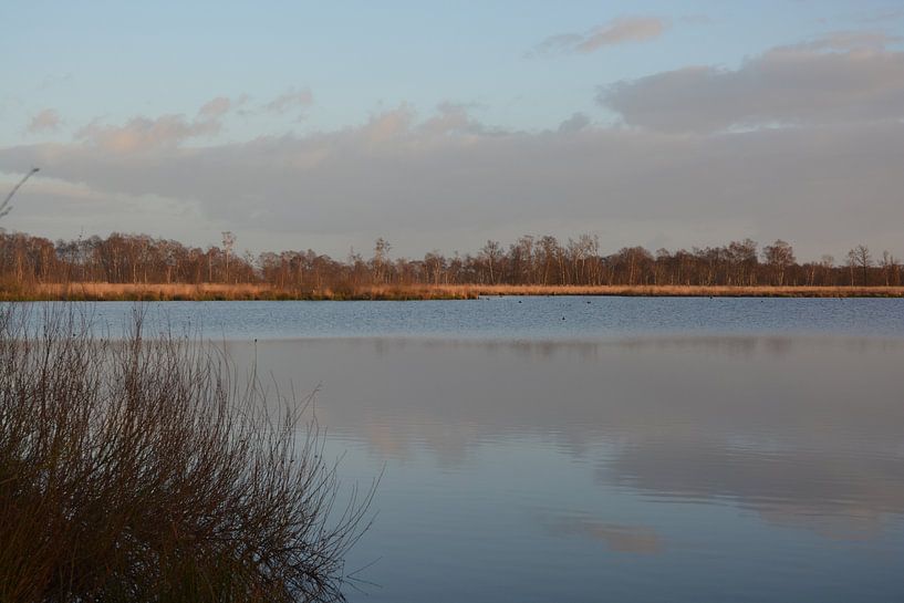 National Park De Grote Peel by Hans Janssen