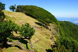 Madeira by Michel van Kooten