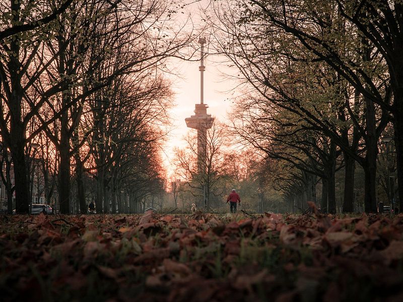 Euromast in autumn atmosphere by Marcel Kool