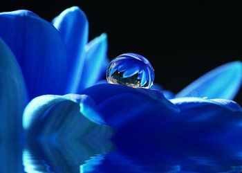 Wassertropfen