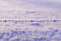 Frozen landscape