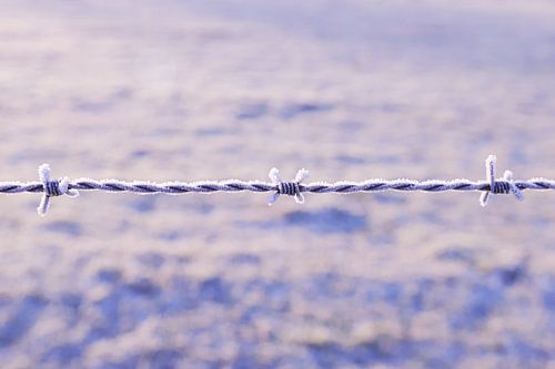 Gefrorene Landschaft