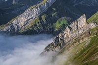 Schäfler Grat im Appenzellerland, Schweiz