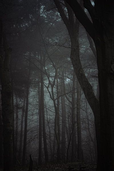 Bomen en mist I van Onbegonnen werk
