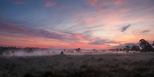 Zonsopkomst bij het Leersumse Veld in Nationaal Park Utrechtse Heuvelrug (panorama)