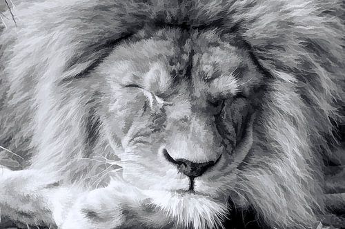 Sleep well lion