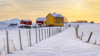 Winter op Senja, Noorwegen van Adelheid Smitt thumbnail