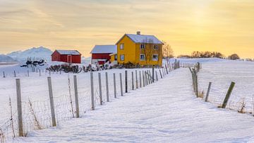 Winter op Senja, Noorwegen van Adelheid Smitt