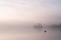 Ein Vormittag auf dem Kralingse Plas