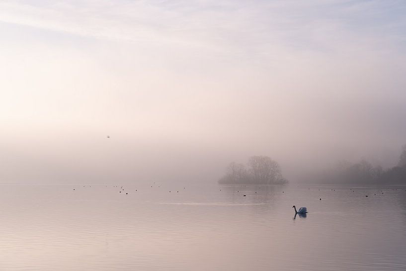 A morning at the Kralingse Plas by Annemieke Klijn