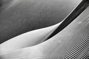 Sahara-Wüste. Sanddünen...