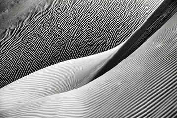 Sahara Desert. Sand dunes. by Frans Lemmens