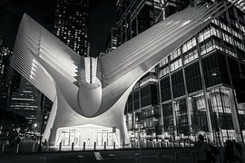 The Oculus von Markus Peters