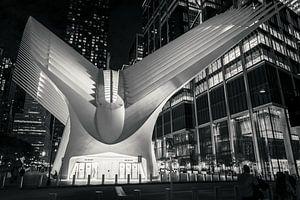 The Oculus