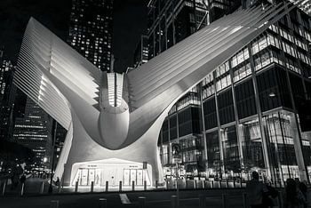 The Oculus