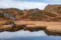 Image miroir