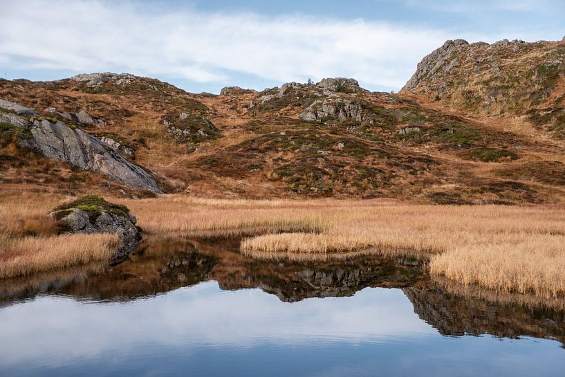 Image miroir par Twan van Vugt