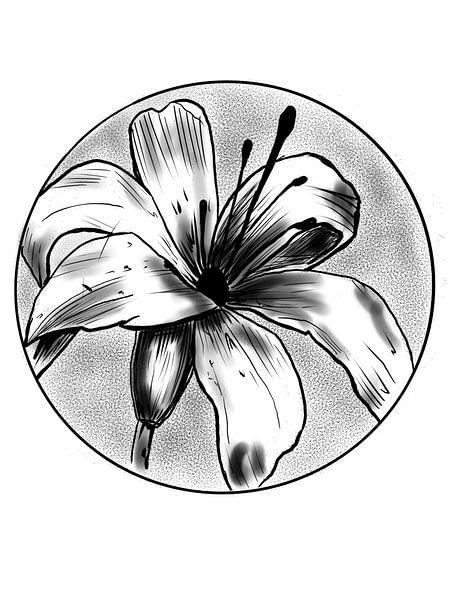 Blume von Blckwork ..