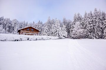 Tour de ski de fond par un temps impérial dans la forêt enneigée de Thuringe près de Floh-Seligenthal - Thuringe - Allemagne sur Oliver Hlavaty