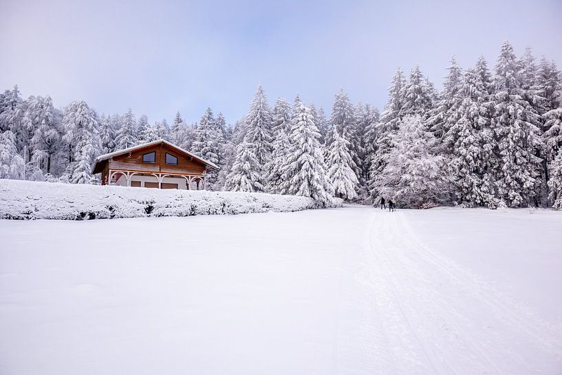 Tour de ski de fond par un temps impérial dans la forêt enneigée de Thuringe près de Floh-Seligenthal - Thuringe - Allemagne par Oliver Hlavaty