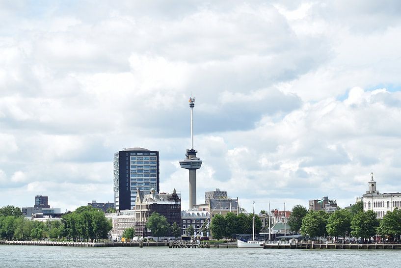 rotterdam par #FlashTag photography