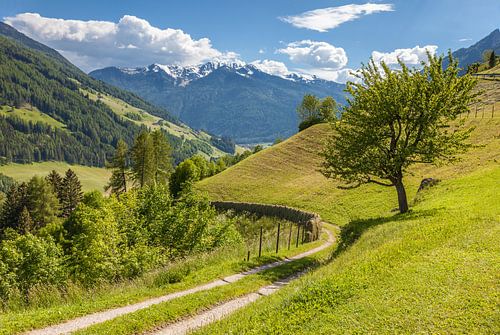Ahrntal Zonnepad bij St. Johann in Zuid-Tirol, Italië