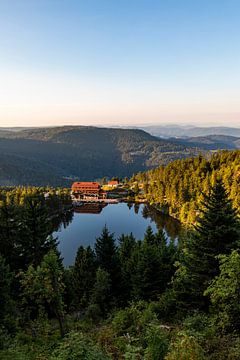 Mummelsee mit dem Berghotel im Sommer - Schwarzwald von Werner Dieterich