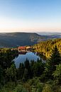 Mummelsee mit dem Berghotel im Sommer - Schwarzwald von Werner Dieterich Miniaturansicht