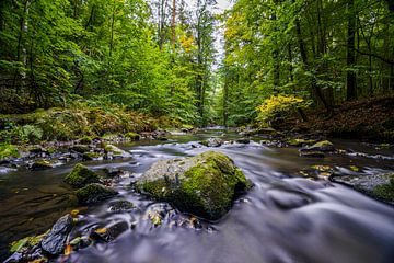 Magisch rivierlandschap in Saksen, het Löbauer water 3 van Holger Spieker