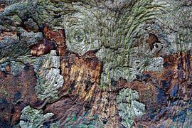 Alien creature in natural structures by Eugene Winthagen