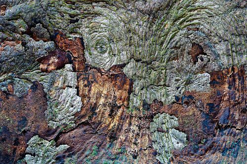 Vreemd wezen in natuurlijke structuren