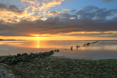 wadden sea with row of poles