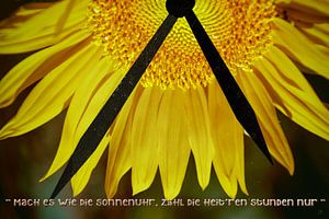 Sonnenuhr