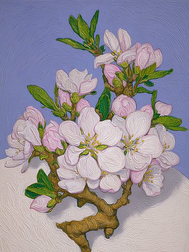 Blossoms in Spring – Colourful Spring