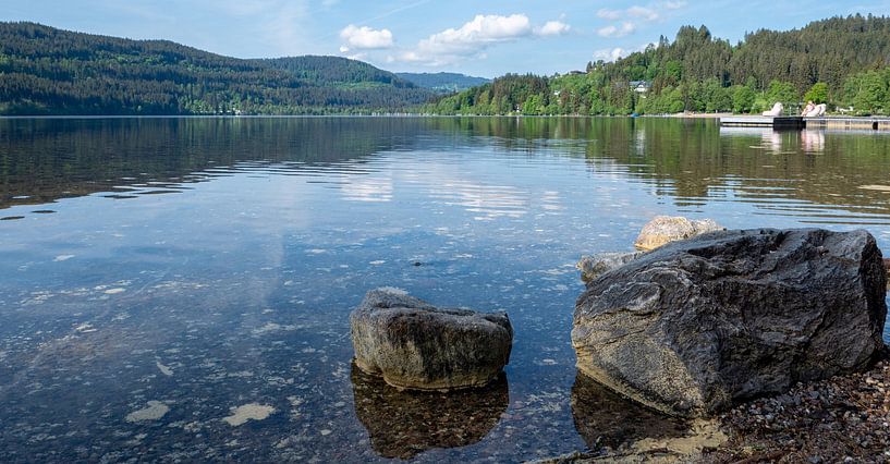 Am Ufer des Titisee im Schwarzwald von Animaflora PicsStock