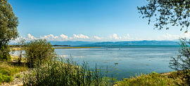 Panorama of Lake Constance by Dieter Walther