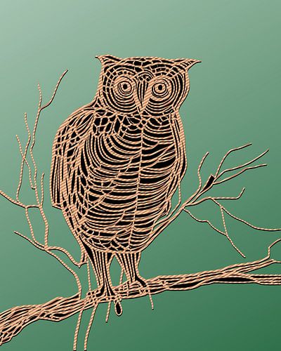 Uil op tak wol op groen