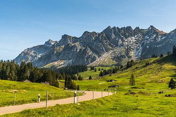 Blick auf dem Alpstein und den Berg Säntis in der Schweiz von Conny Pokorny